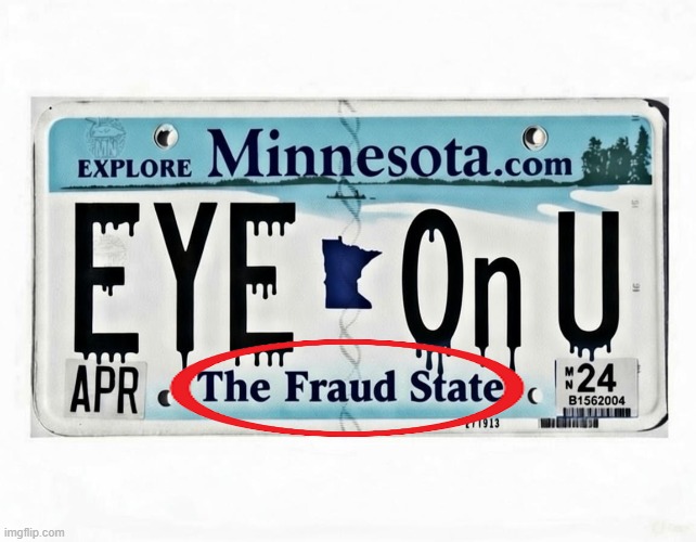 Waste, Fraud, Abuse & Democrats | image tagged in minnesota,thieves,americans first,criminals,deportation,stealing | made w/ Imgflip meme maker