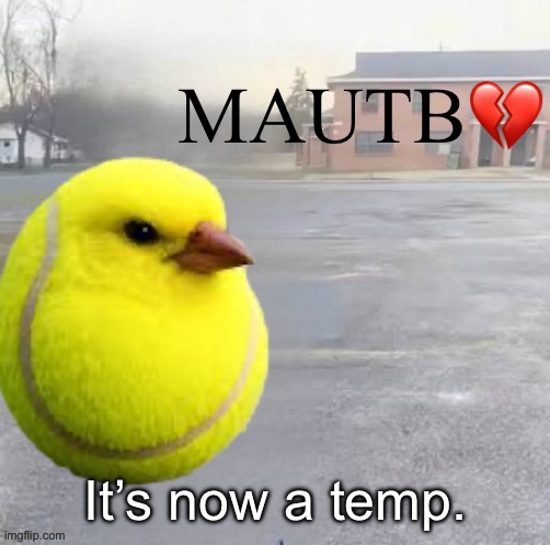 Mods Asleep, Upvote Tennis Bird | It’s now a temp. | image tagged in mods asleep upvote tennis bird | made w/ Imgflip meme maker