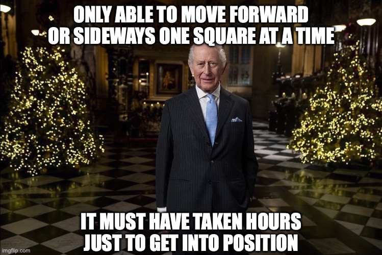 King Charles | ONLY ABLE TO MOVE FORWARD OR SIDEWAYS ONE SQUARE AT A TIME; IT MUST HAVE TAKEN HOURS JUST TO GET INTO POSITION | image tagged in king charles,royal family,chess | made w/ Imgflip meme maker