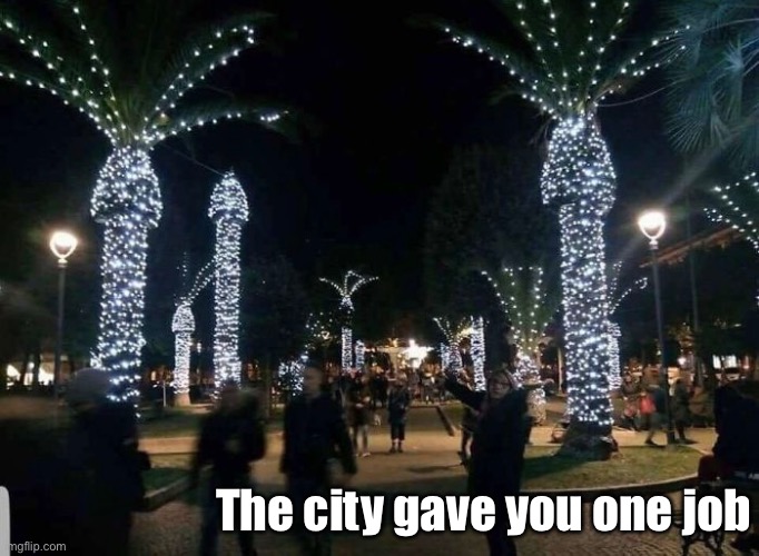 Should've left off lights on top of tree. Awkward | The city gave you one job | image tagged in you had one job,awkward,trees,christmas,task failed successfully,penis | made w/ Imgflip meme maker