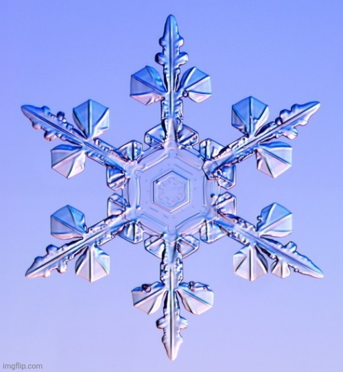 Special snowflake | image tagged in special snowflake | made w/ Imgflip meme maker