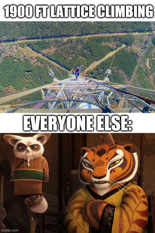Me, watching Lattice Climbing | 1900 FT LATTICE CLIMBING; EVERYONE ELSE: | image tagged in ivy ices tower,lattice climbing,memes,climbing memes,kung fu panda,tigress | made w/ Imgflip meme maker