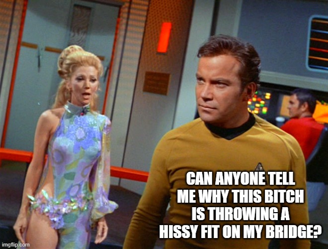 throwing a fit at Jim | CAN ANYONE TELL ME WHY THIS BITCH IS THROWING A HISSY FIT ON MY BRIDGE? | image tagged in wink star trek | made w/ Imgflip meme maker