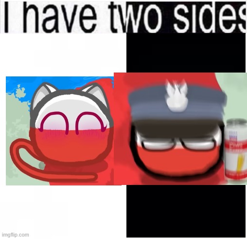 the duality of poland (source: polishtortoise) | image tagged in i have two sides | made w/ Imgflip meme maker