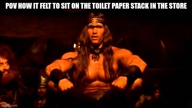 I am king here | POV HOW IT FELT TO SIT ON THE TOILET PAPER STACK IN THE STORE | image tagged in conan crush your enemies | made w/ Imgflip meme maker