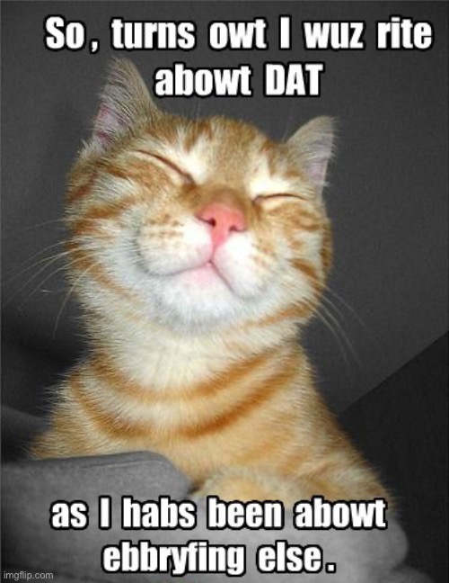 Smug Know It All | image tagged in cats,funny cats,funny cat memes,smug,know it all,arrogance | made w/ Imgflip meme maker