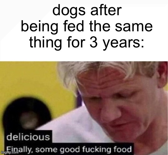 dogs after being fed the same thing for 3 years: | image tagged in blank white template,gordon ramsay some good food | made w/ Imgflip meme maker