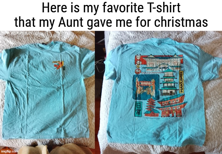 i like it so much | Here is my favorite T-shirt that my Aunt gave me for christmas | made w/ Imgflip meme maker