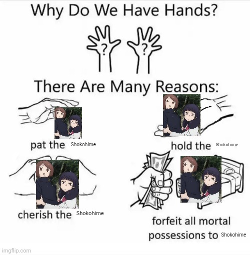 Shokohime | Shokohime; Shokohime; Shokohime; Shokohime | image tagged in why do we have hands all blank,jjk,jujutsu kaisen | made w/ Imgflip meme maker