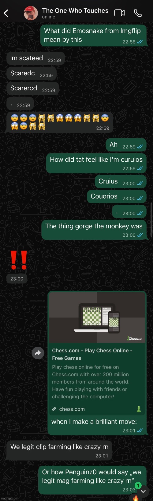 Rylie told me to post this | made w/ Imgflip meme maker