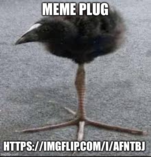 Tripod Bird | MEME PLUG; HTTPS://IMGFLIP.COM/I/AFNTBJ | image tagged in tripod bird | made w/ Imgflip meme maker