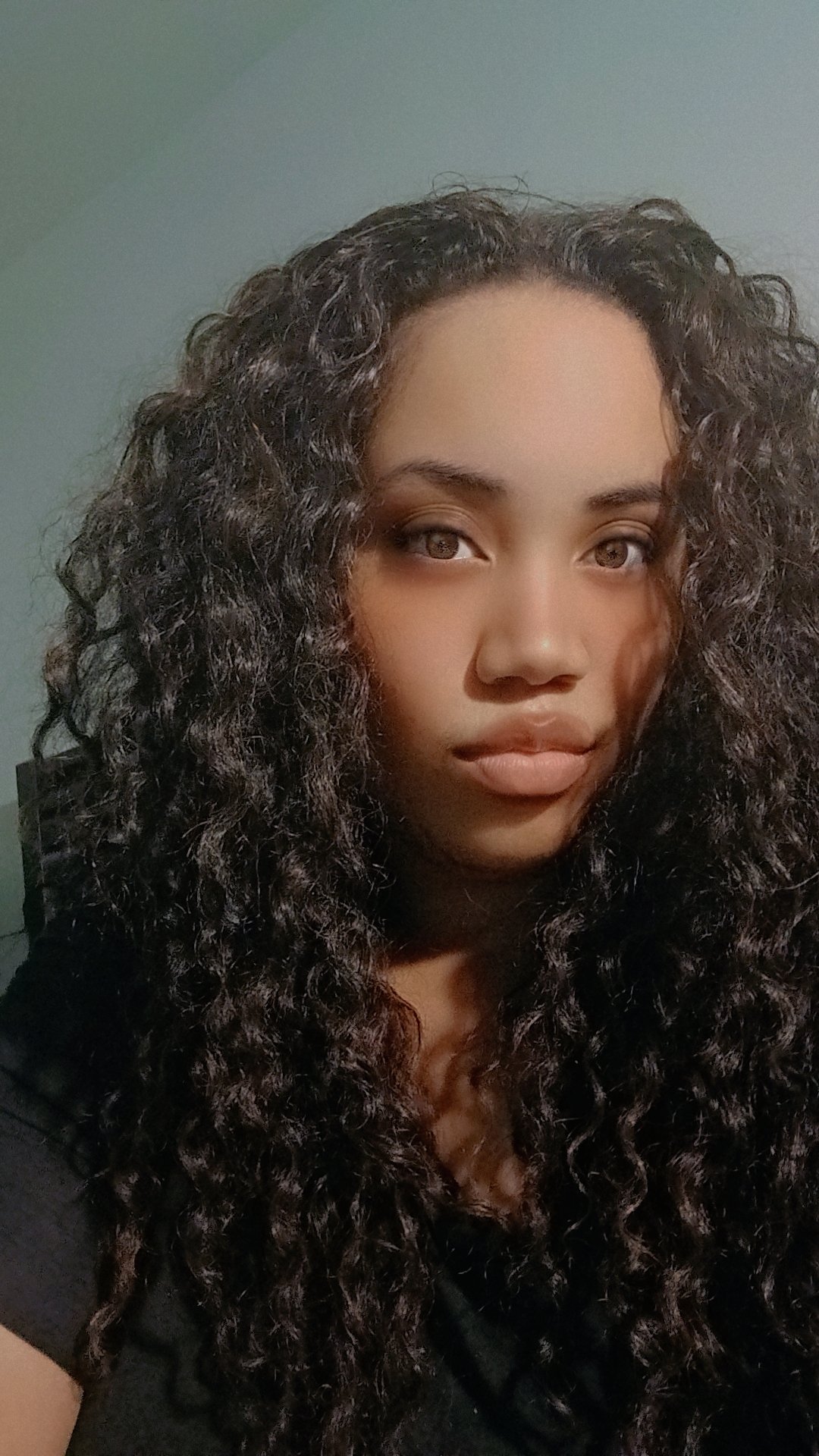 Veronica Gamble Blank Meme Template