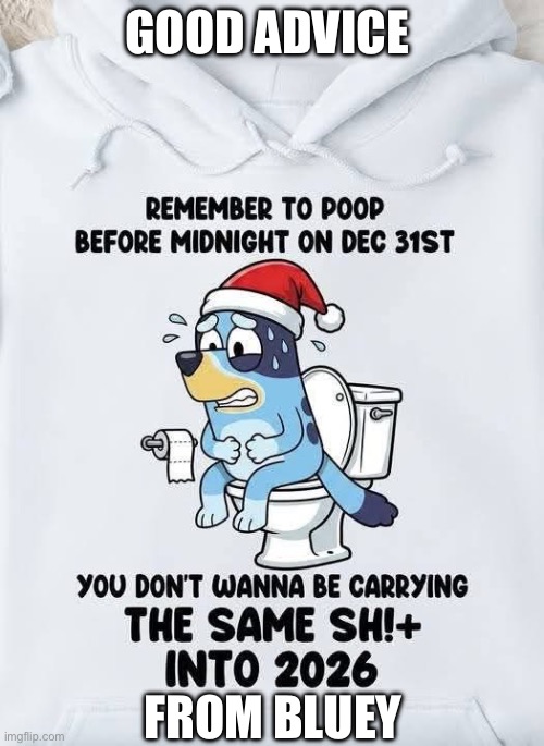 New Year’s Eve Advice | GOOD ADVICE; FROM BLUEY | image tagged in happy new year,advice,bluey,advice dog,poop | made w/ Imgflip meme maker