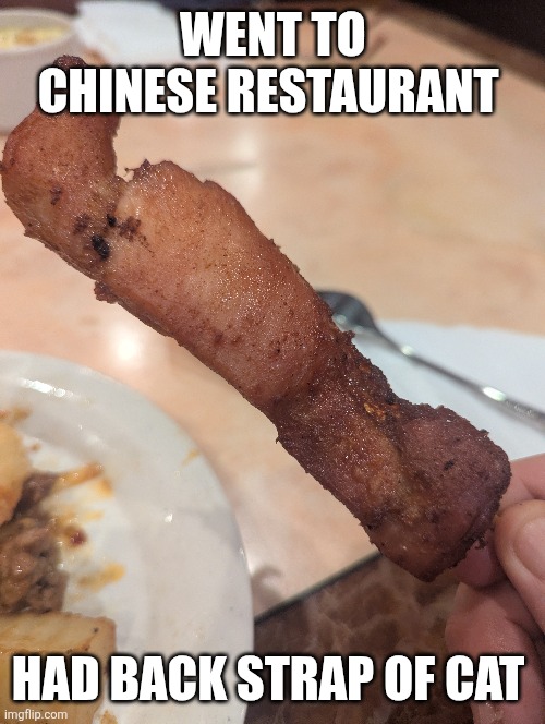 WENT TO CHINESE RESTAURANT HAD BACK STRAP OF CAT | made w/ Imgflip meme maker