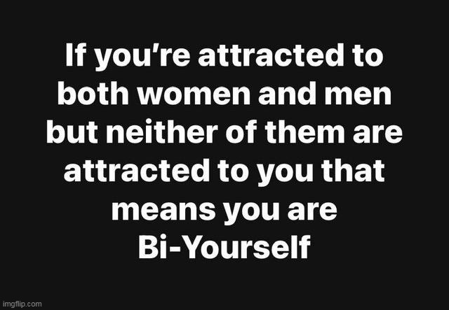 Bi Bye | image tagged in bi yourself meme | made w/ Imgflip meme maker