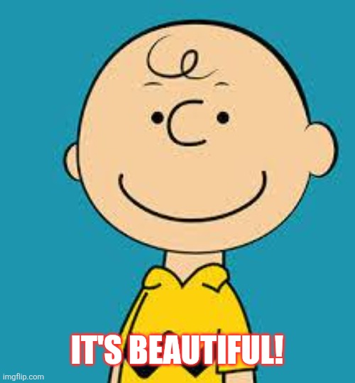 Evil Charlie Brown | IT'S BEAUTIFUL! | image tagged in evil charlie brown | made w/ Imgflip meme maker