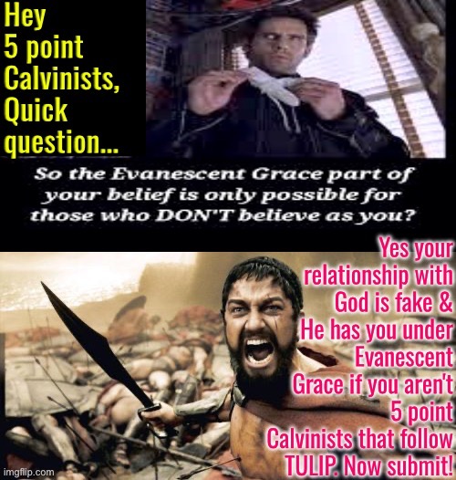 I wonder if 5 pointers get a little chuckle out of such an atrocity | image tagged in calvinism,calvinist memes,anti calvinism,reformed theology,evanescent grace,malignant narcissism | made w/ Imgflip meme maker