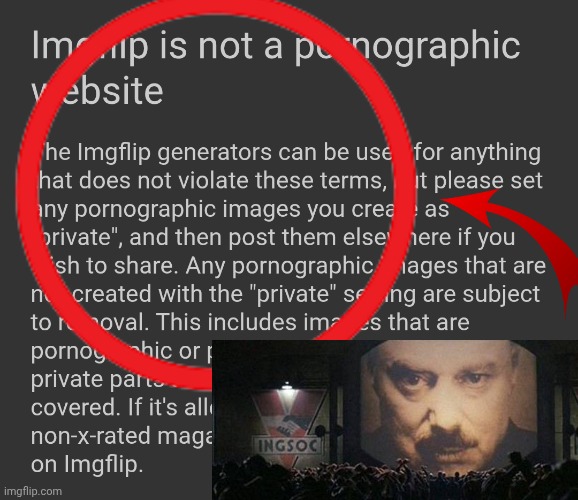 Literally 1984 ? | image tagged in msmg,rule 34,dih | made w/ Imgflip meme maker