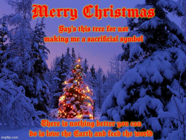 Merry Christmas | image tagged in merry chridtmas | made w/ Imgflip meme maker