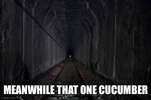 dark tunnel | MEANWHILE THAT ONE CUCUMBER | image tagged in dark tunnel | made w/ Imgflip meme maker