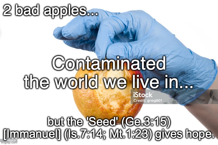 Hope For Tomorrow | 2 bad apples... Contaminated
the world we live in... but the 'Seed' (Ge.3:15) [Immanuel] (Is.7:14; Mt.1:23) gives hope. | image tagged in death in adam,life in christ | made w/ Imgflip meme maker