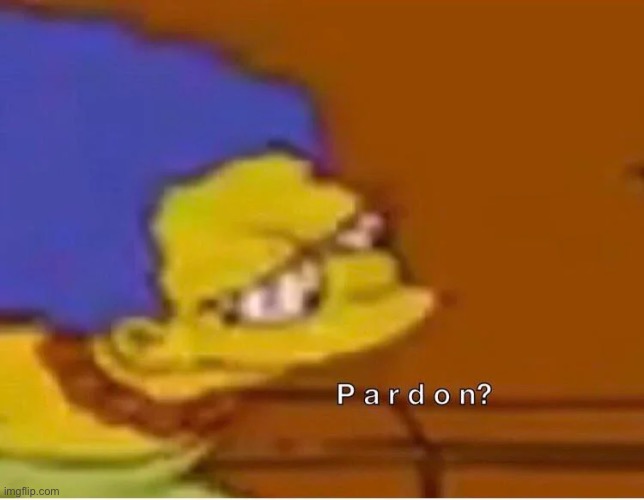 P a r d o n? | image tagged in p a r d o n | made w/ Imgflip meme maker