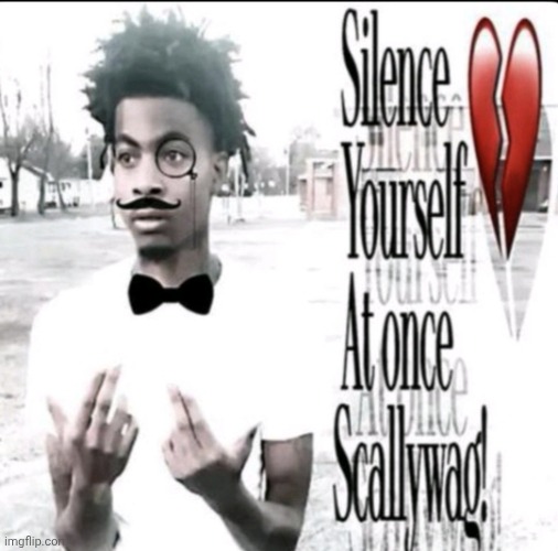 Silence Yourself At once Scallywag! | image tagged in silence yourself at once scallywag | made w/ Imgflip meme maker