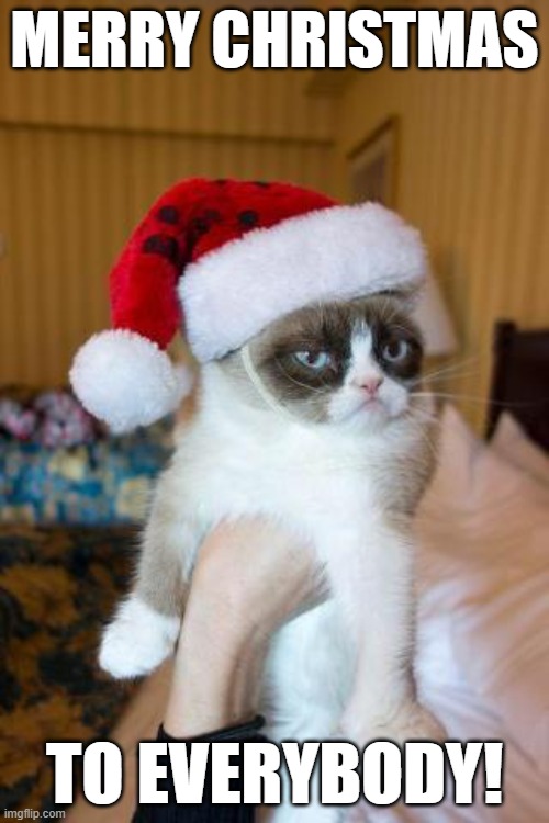 Merry Christmas! | MERRY CHRISTMAS; TO EVERYBODY! | image tagged in memes,grumpy cat christmas,grumpy cat,christmas | made w/ Imgflip meme maker