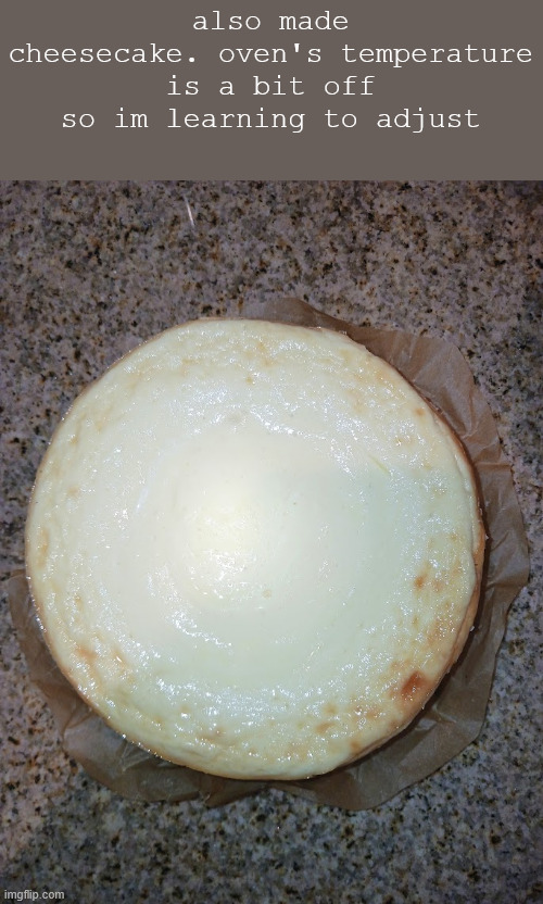also made cheesecake. oven's temperature is a bit off so im learning to adjust | made w/ Imgflip meme maker