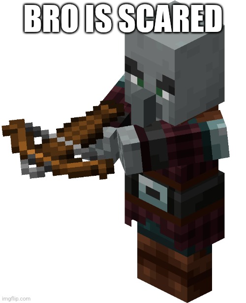 Pillager | BRO IS SCARED | image tagged in pillager | made w/ Imgflip meme maker