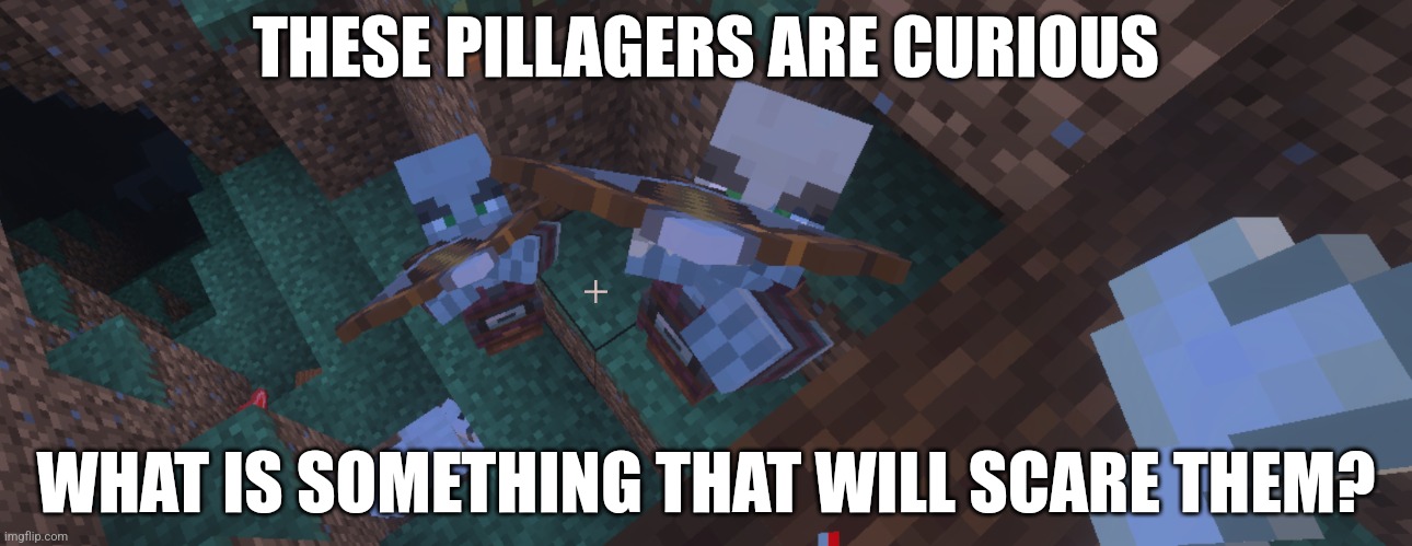 Pillagers | THESE PILLAGERS ARE CURIOUS; WHAT IS SOMETHING THAT WILL SCARE THEM? | image tagged in pillagers | made w/ Imgflip meme maker