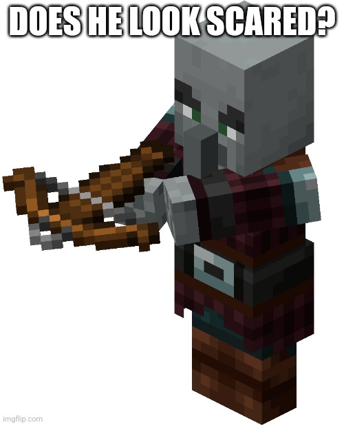 Pillager | DOES HE LOOK SCARED? | image tagged in pillager | made w/ Imgflip meme maker