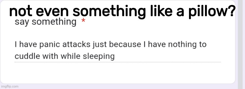 not even something like a pillow? | made w/ Imgflip meme maker