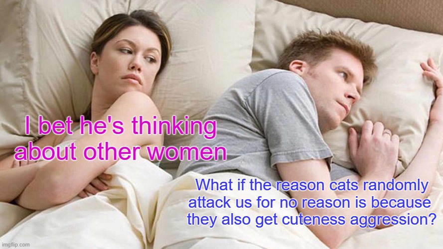 I may be onto something here... | I bet he's thinking about other women; What if the reason cats randomly attack us for no reason is because 
they also get cuteness aggression? | image tagged in memes,i bet he's thinking about other women,cats | made w/ Imgflip meme maker