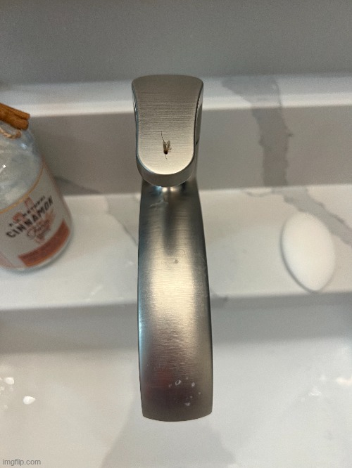 My sisters are terrified of mosquitos so I found a dead one and put it on the faucet | made w/ Imgflip meme maker