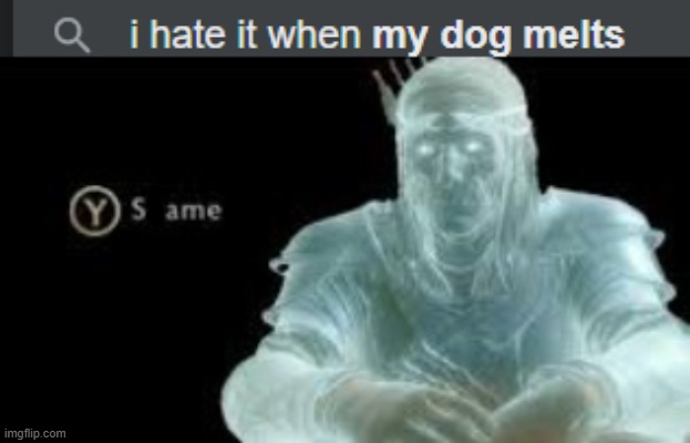 the melt of shame | image tagged in i hate it when my dog melts,y shame,memes | made w/ Imgflip meme maker