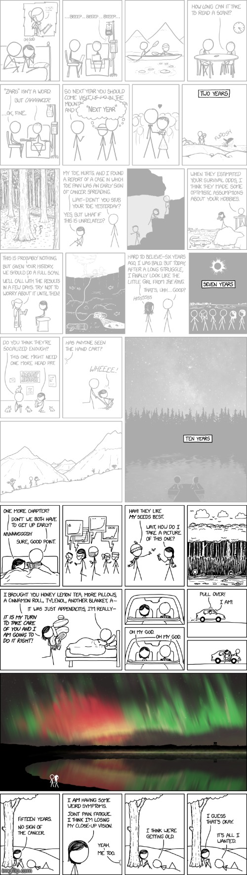 Recap of Randall Munroe and his wifes cancer journey | image tagged in xkcd,cancer,15 | made w/ Imgflip meme maker