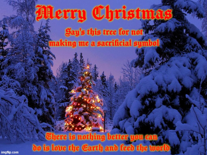 Merry Christmas | Merry Christmas; Say's this tree for not making me a sacrificial symbol; There is nothing better you can do is love the Earth and feed the world | image tagged in merry christmas | made w/ Imgflip meme maker