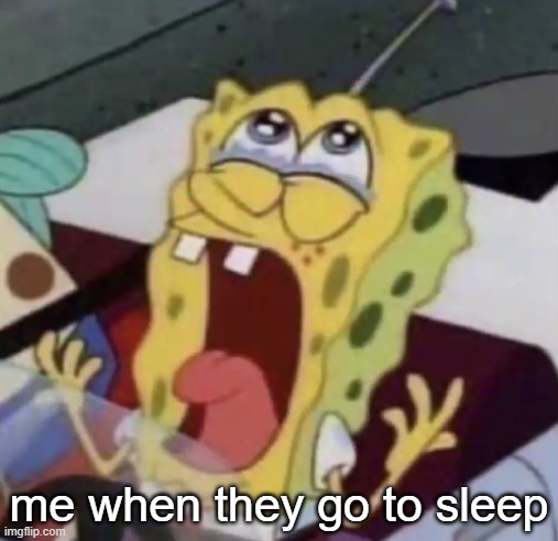 spongebob crying | me when they go to sleep | image tagged in spongebob crying | made w/ Imgflip meme maker