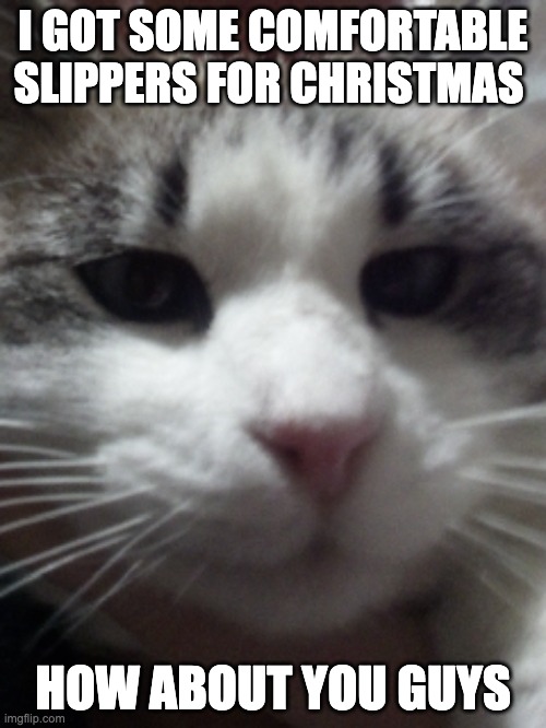 Sour Hart announcement template | I GOT SOME COMFORTABLE SLIPPERS FOR CHRISTMAS; HOW ABOUT YOU GUYS | image tagged in sour hart announcement template | made w/ Imgflip meme maker