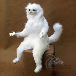 Enjoy Persian cat monkey Blank Meme Template