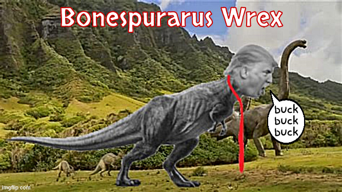 If Trump were a dinosaur what kind would he be | Bonespurarus Wrex; buck buck buck | image tagged in if trump were a dinosaur what kind would he be,demntia park,needs feathers and tar,big chicken shit | made w/ Imgflip meme maker