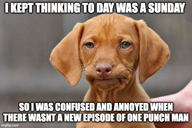 more like one frame man, so what if that wasnt an original joke | I KEPT THINKING TO DAY WAS A SUNDAY; SO I WAS CONFUSED AND ANNOYED WHEN THERE WASNT A NEW EPISODE OF ONE PUNCH MAN | image tagged in dissapointed puppy | made w/ Imgflip meme maker