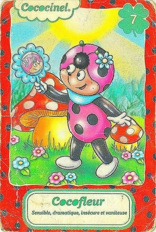 Cococinel 1992 (Cocomiel): Cocofleur (Cocoflor) | image tagged in cococinel | made w/ Imgflip meme maker