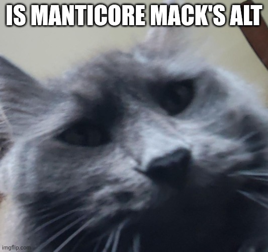 Not harrasment | IS MANTICORE MACK'S ALT | image tagged in not,harassment | made w/ Imgflip meme maker