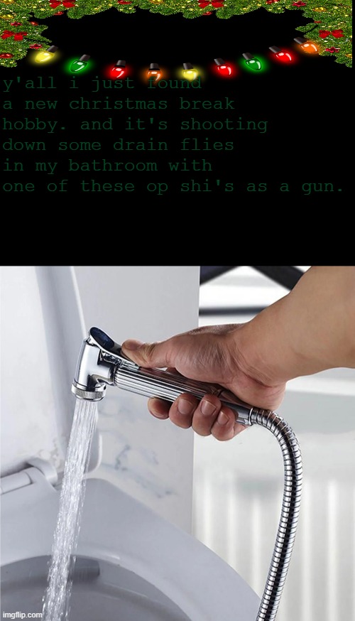 i use my bathroom's bidet as a gun | y'all i just found a new christmas break hobby. and it's shooting down some drain flies in my bathroom with one of these op shi's as a gun. | image tagged in no tags | made w/ Imgflip meme maker