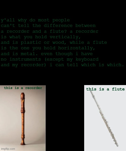 here's the difference. | y'all why do most people can't tell the difference between a recorder and a flute? a recorder is what you hold vertically, and is plastic or wood, while a flute is the one you hold horizontally, and is metal. even though i have no instruments (except my keyboard and my recorder) i can tell which is which. this is a flute; this is a recorder | image tagged in music,instruments | made w/ Imgflip meme maker