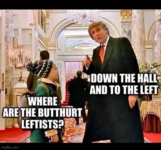 So many Butthurt libs | image tagged in libtard,morons,butthurt,douchebag,democrats | made w/ Imgflip meme maker