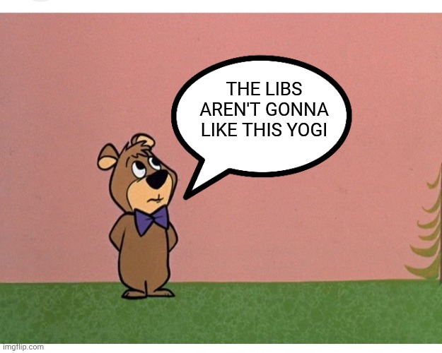 THE LIBS AREN'T GONNA LIKE THIS YOGI | made w/ Imgflip meme maker