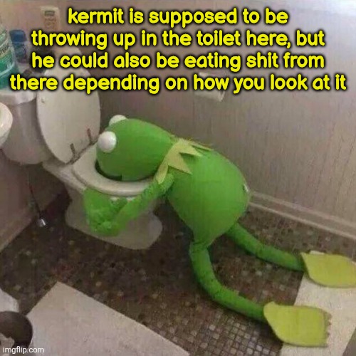 Kermit Throwing Up | kermit is supposed to be throwing up in the toilet here, but he could also be eating shit from there depending on how you look at it | image tagged in kermit throwing up | made w/ Imgflip meme maker